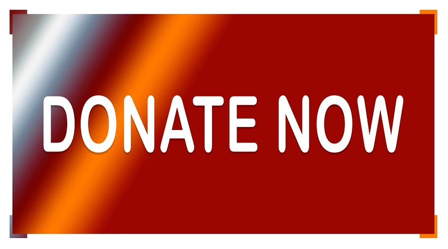 fast online donation